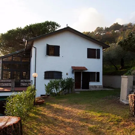 Margherita * Montale (Liguria)